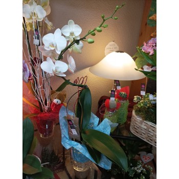 Orquídea en espiral decorada